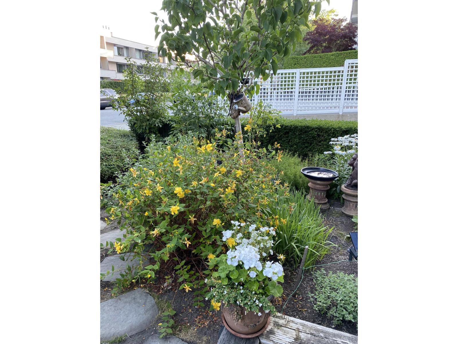 109 15298 20 AVENUE, Surrey