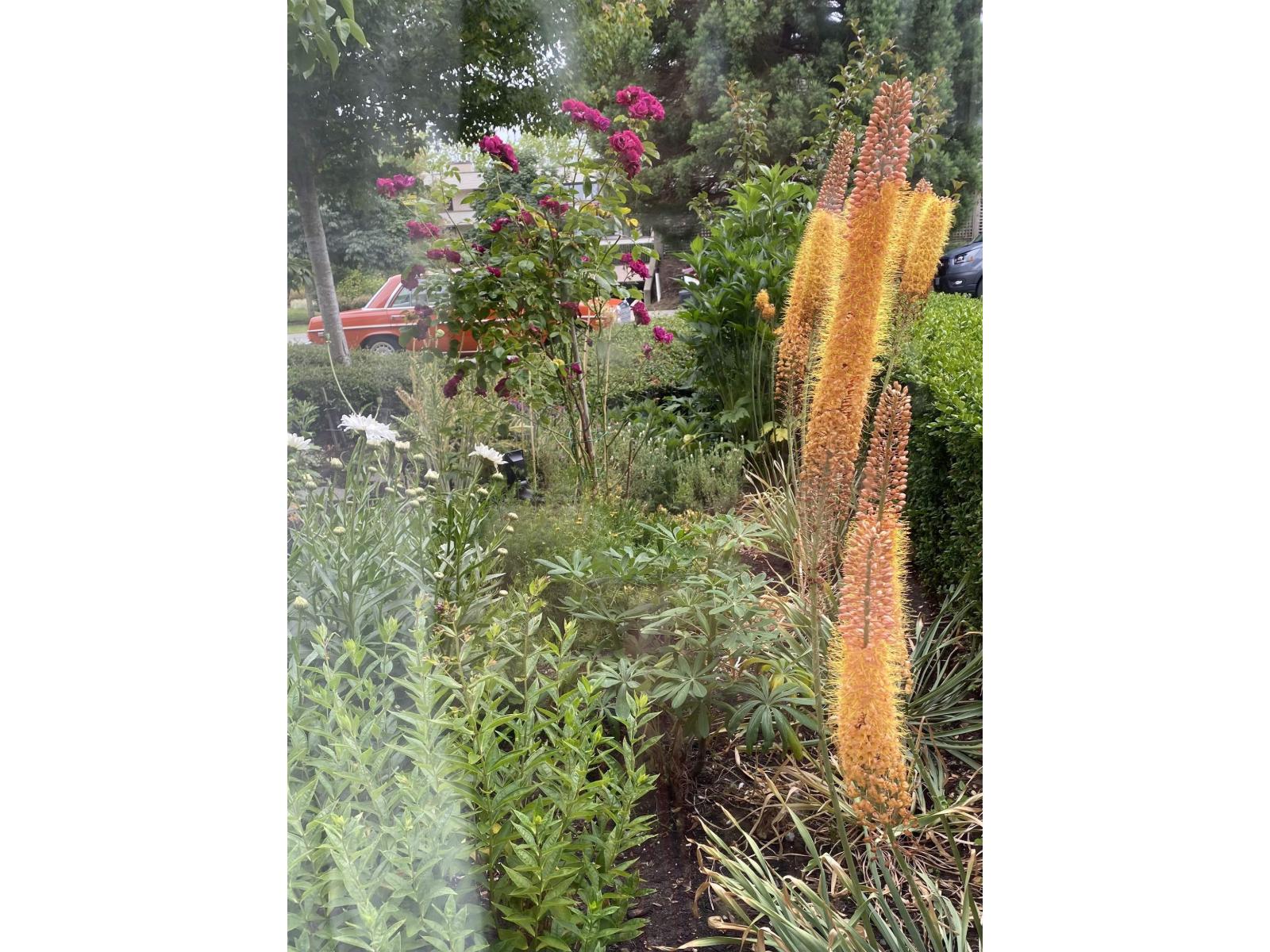 109 15298 20 AVENUE, Surrey