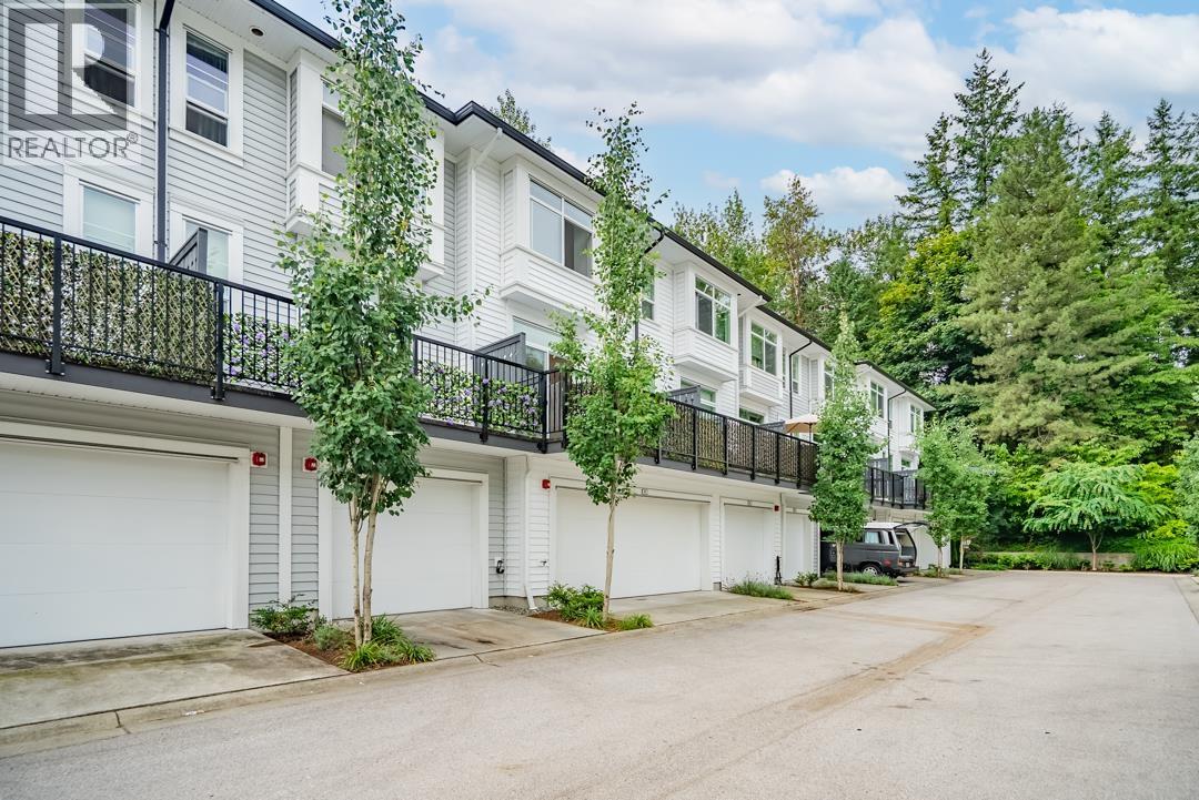 41 19696 HAMMOND ROAD, Pitt Meadows
