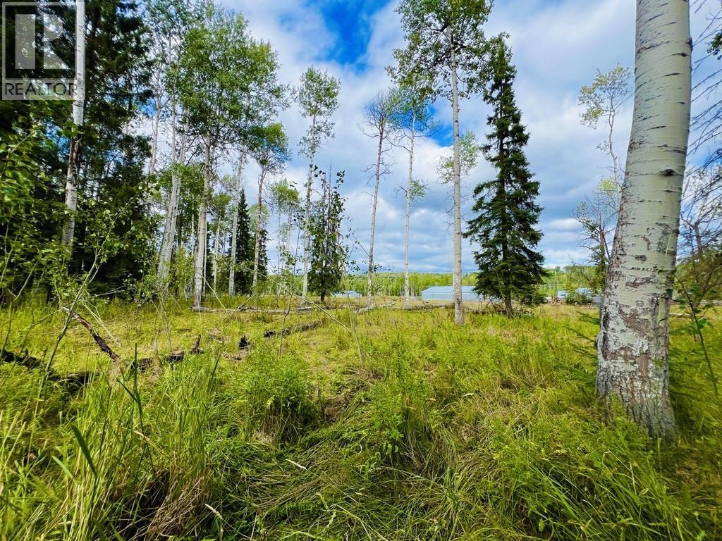 9357 16 HIGHWAY, Telkwa