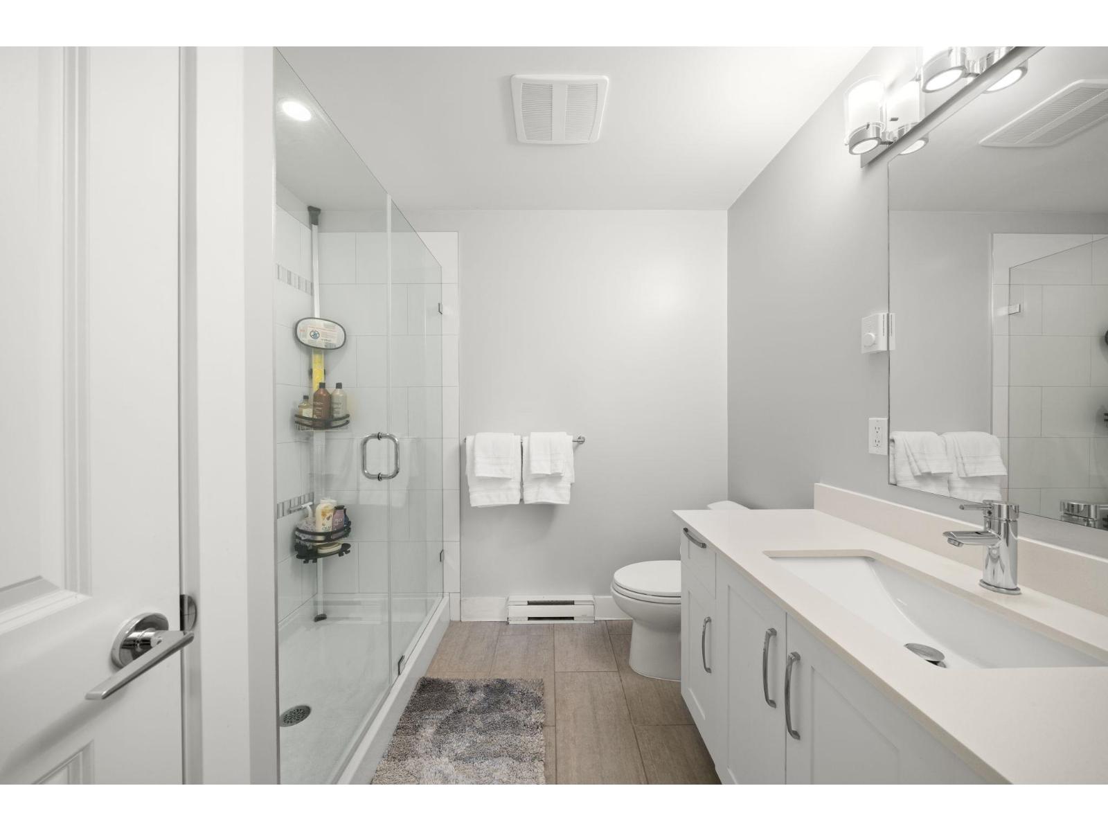 419 20728 WILLOUGHBY TOWN CENTRE DRIVE, Langley