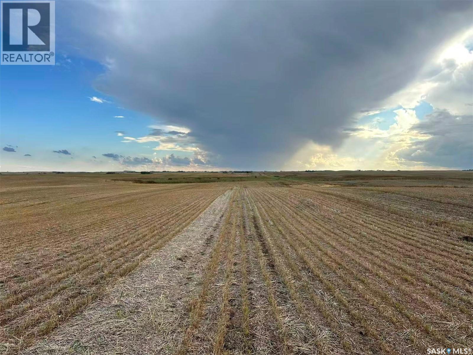 961 Acres Farmland in RM Morris — photo 15