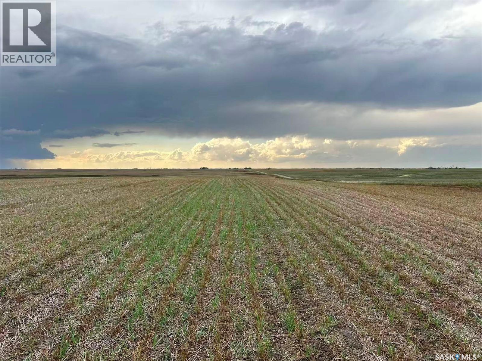 961 Acres Farmland in RM Morris — photo 16