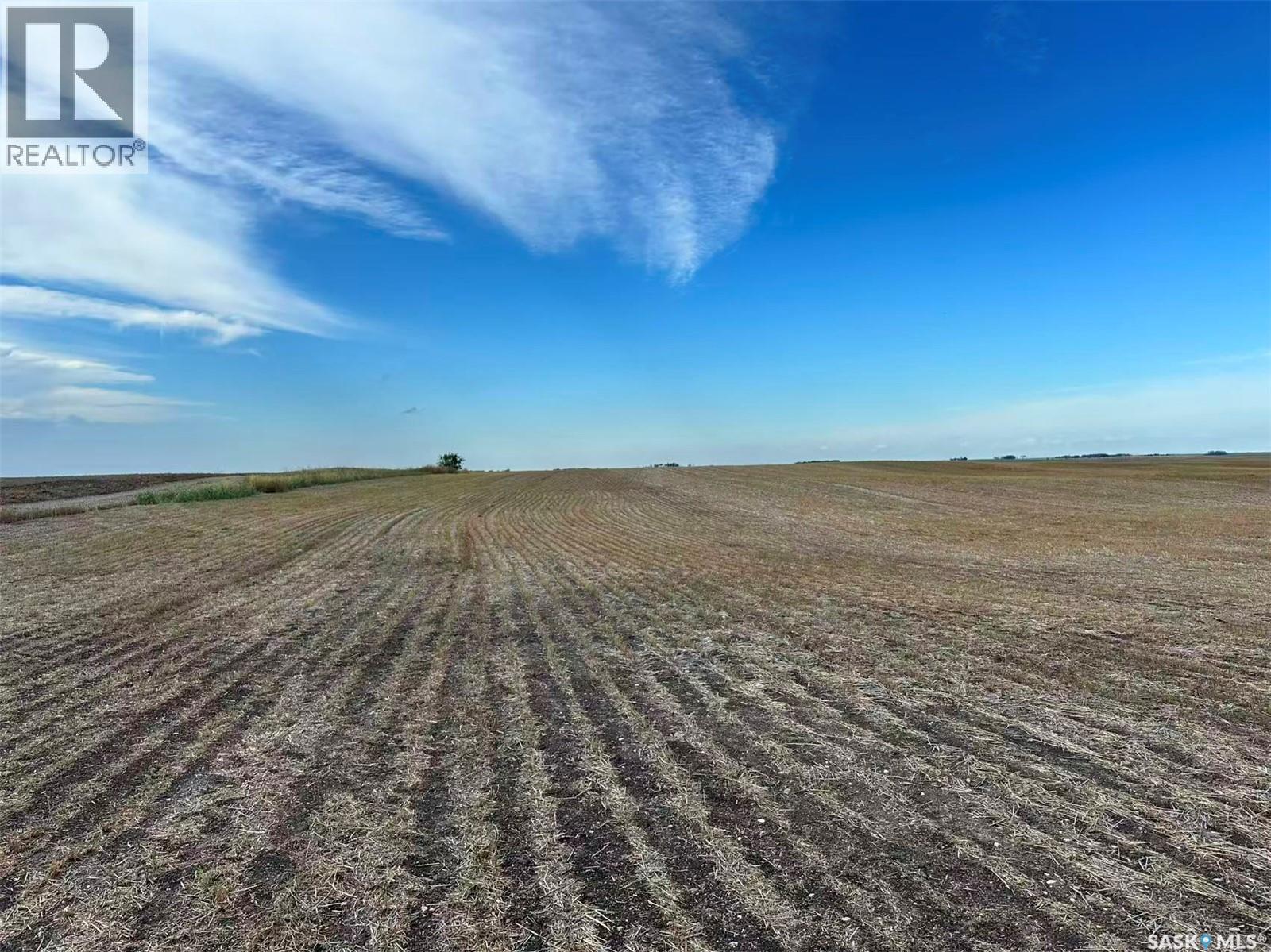 961 Acres Farmland in RM Morris — photo 9
