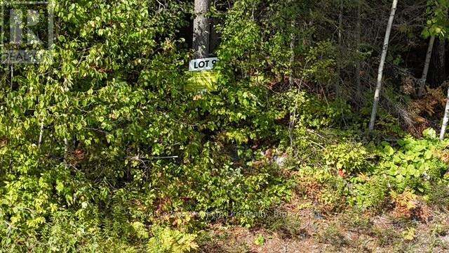LOT 9 FOX RUN DRIVE - Photo 2 of 5, Temagami, Ontario