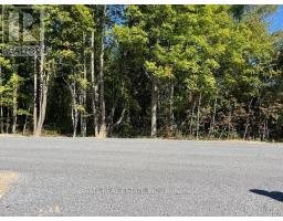 Pt 33a & Pt 33b Autumn Road N, Trent Hills, ON K0K3K0 Photo 10