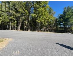 Pt 33a & Pt 33b Autumn Road N, Trent Hills, ON K0K3K0 Photo 12