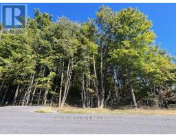 Pt 33a & Pt 33b Autumn Road N, Trent Hills, ON K0K3K0 Photo 6