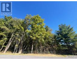 Pt 33a & Pt 33b Autumn Road N, Trent Hills, ON K0K3K0 Photo 7