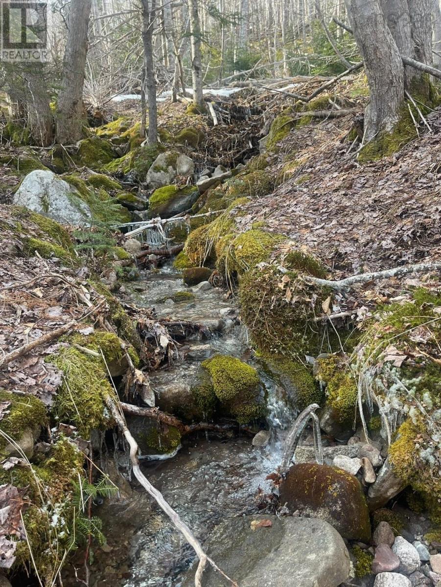 Property photo of TransCanada 105