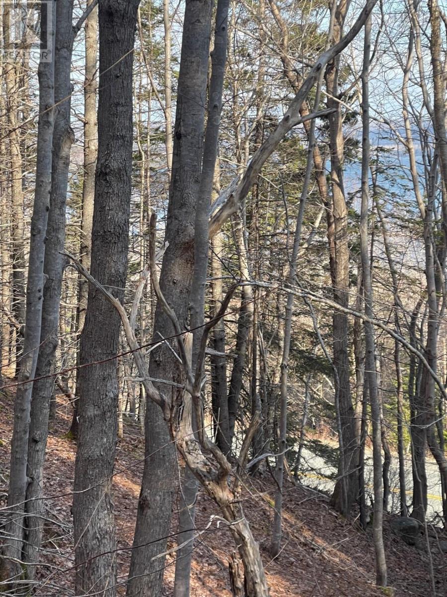 Property 3 of 5 of TransCanada 105