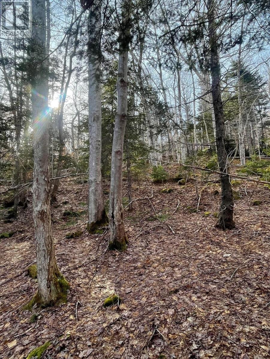 Property 2 of 5 of TransCanada 105