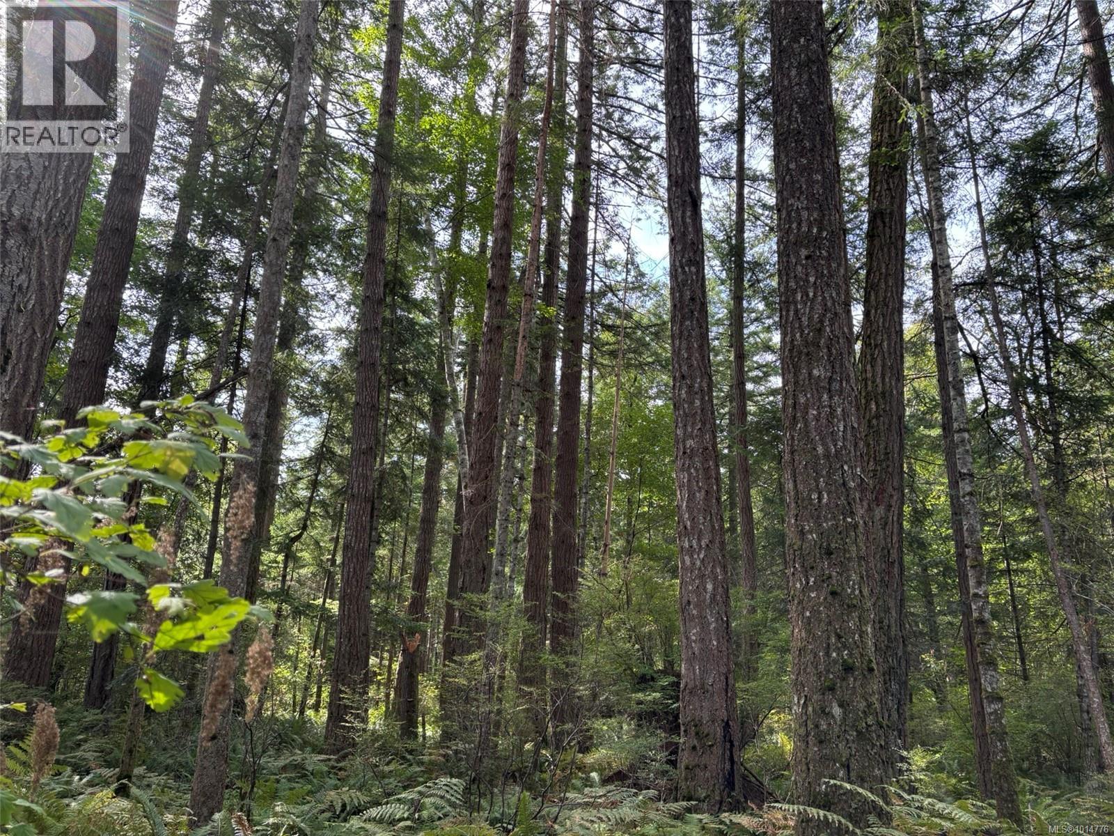 SL7 129 Joyce Rd, Quadra Island