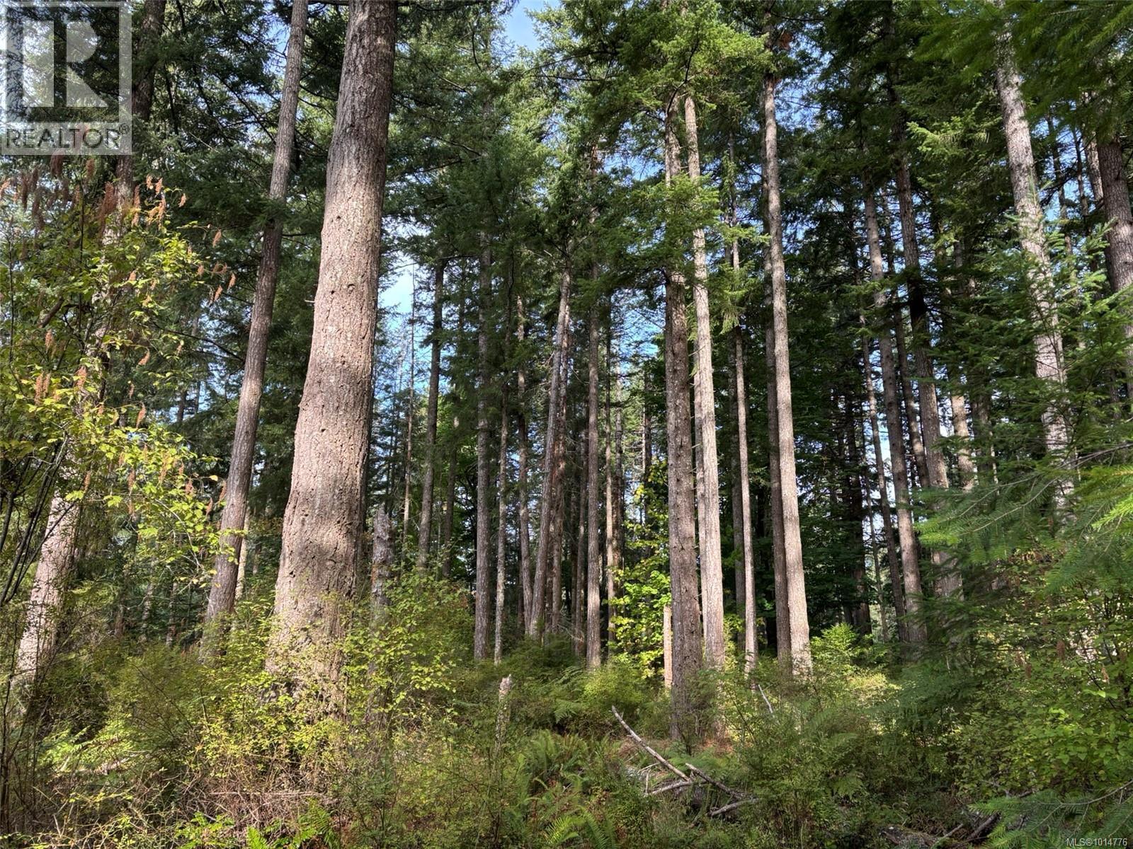 SL7 129 Joyce Rd, Quadra Island