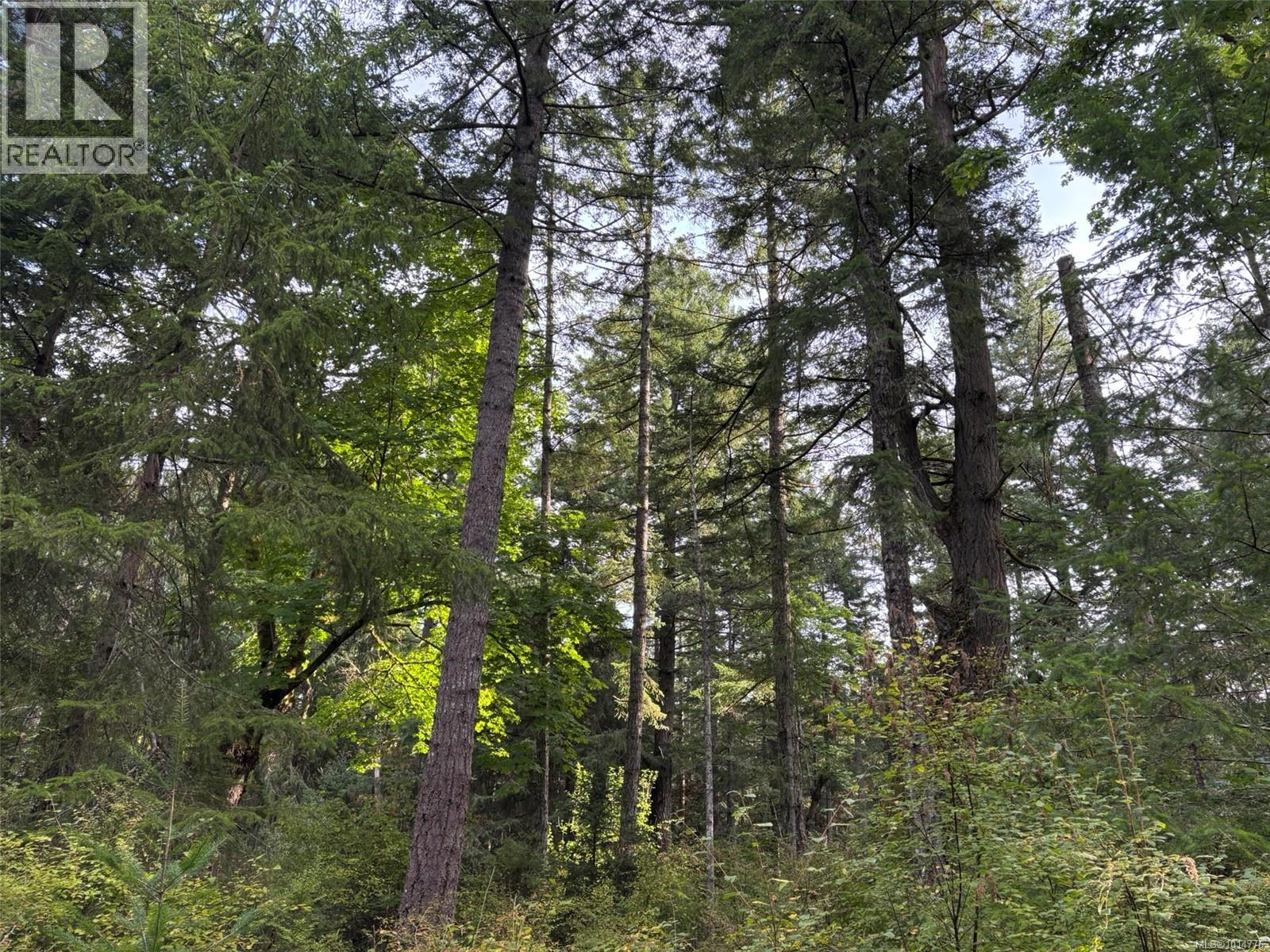SL7 129 Joyce Rd, Quadra Island
