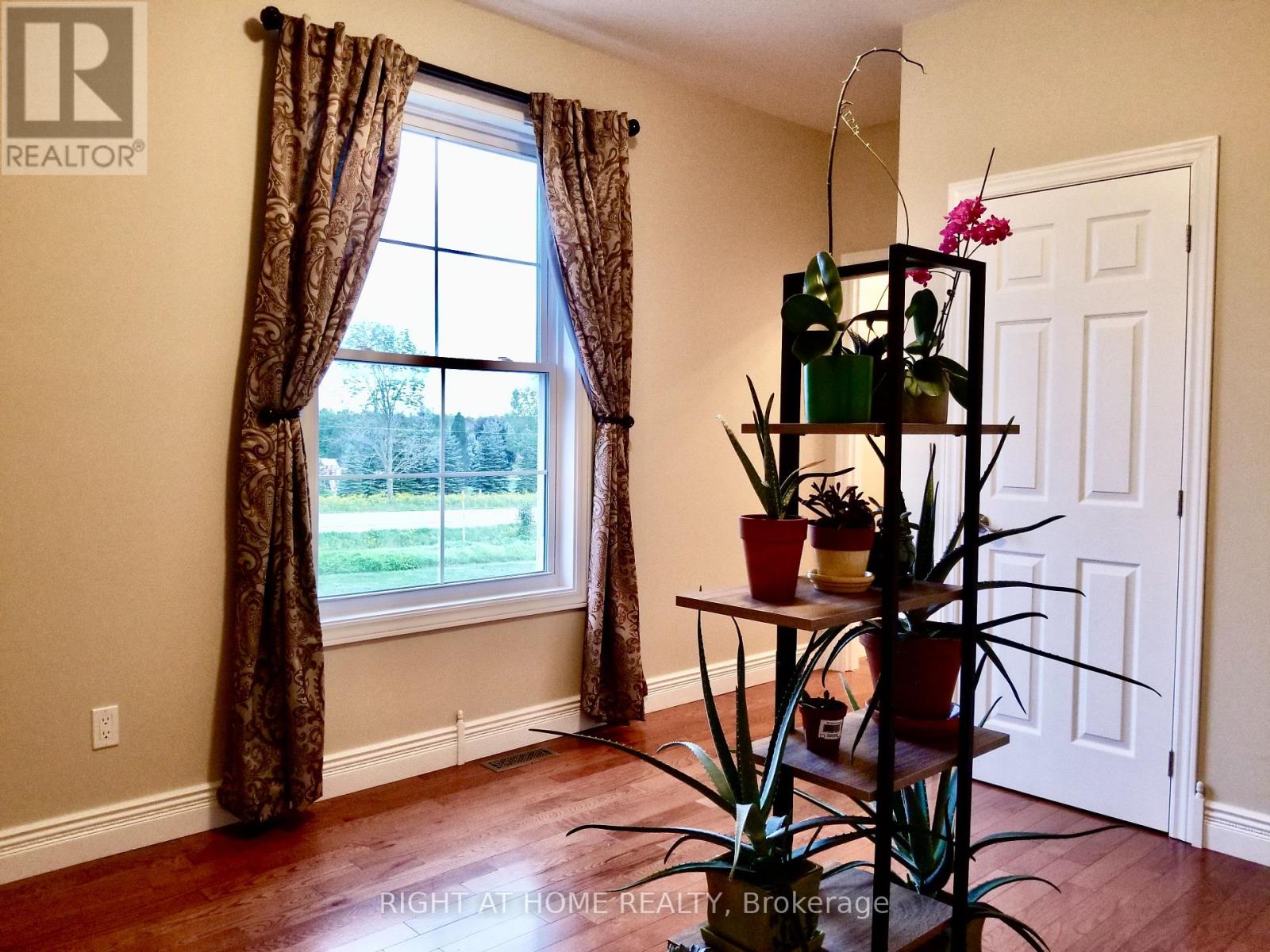 376 SANDFORD ROAD - 13