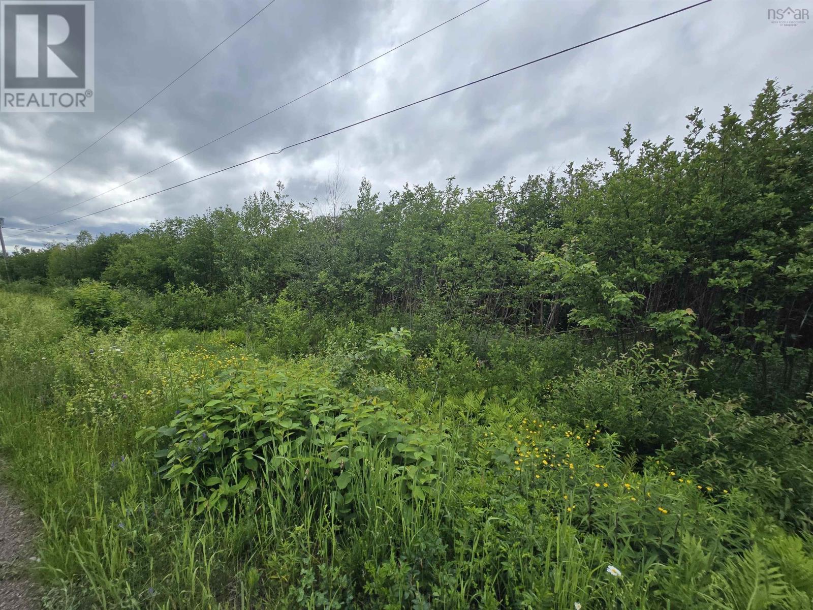 Property 10 of 12 of lot 6 41 Brule Shore Road