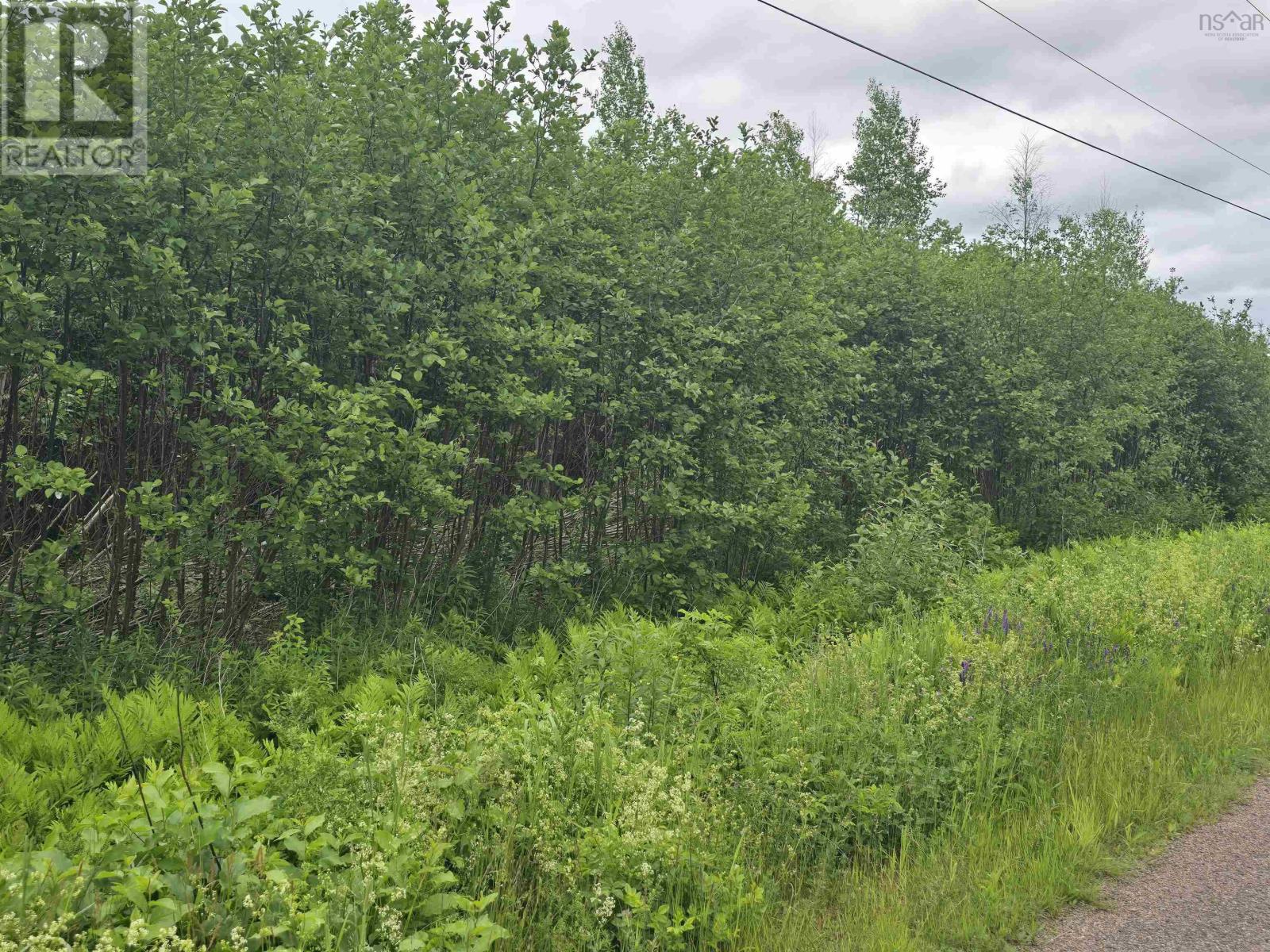 Property 8 of 12 of lot 6 41 Brule Shore Road