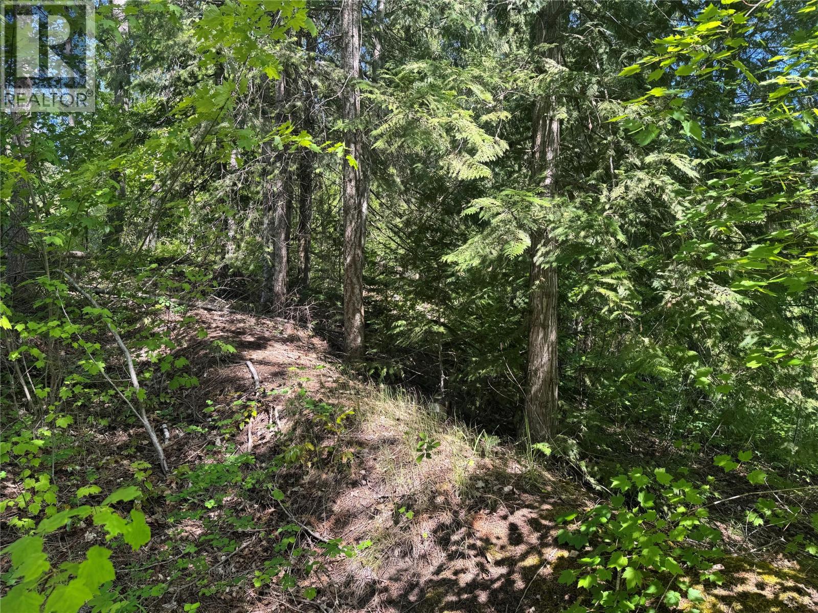  4981 5 Avenue Southwest, Salmon Arm