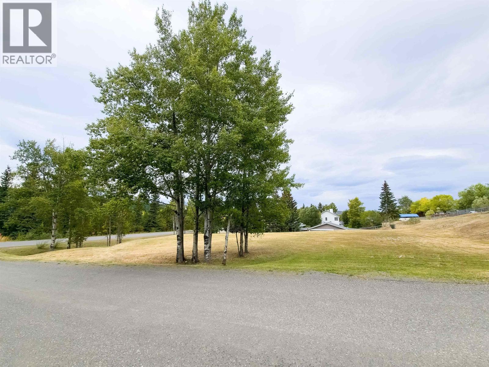 LOT 23 HORSE LAKE ROAD — photo 7