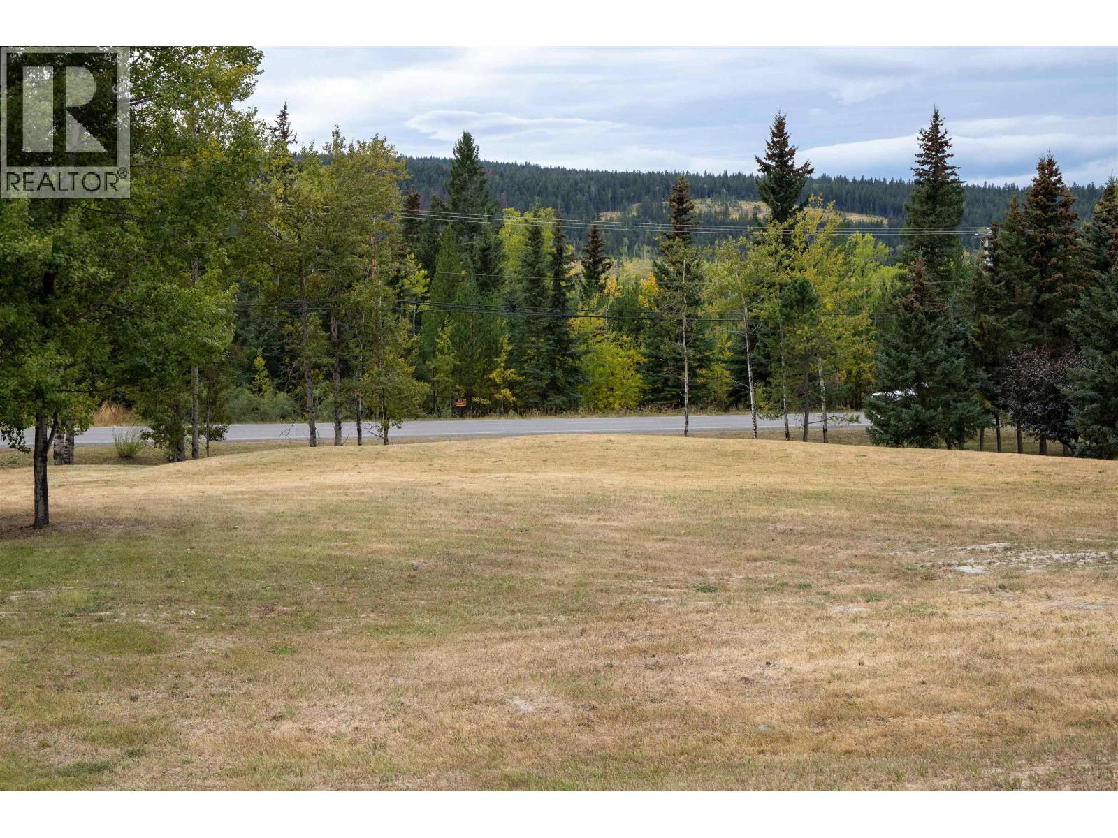 LOT 23 HORSE LAKE ROAD — photo 12