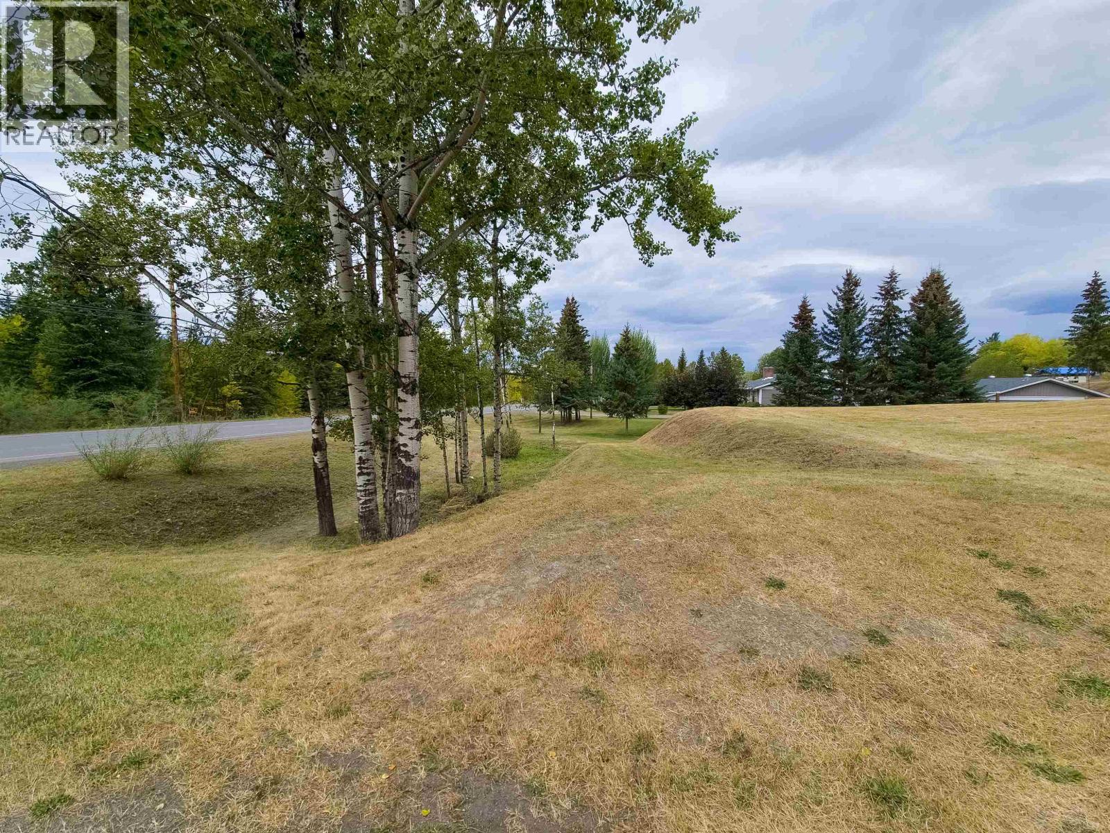 LOT 23 HORSE LAKE ROAD — photo 10
