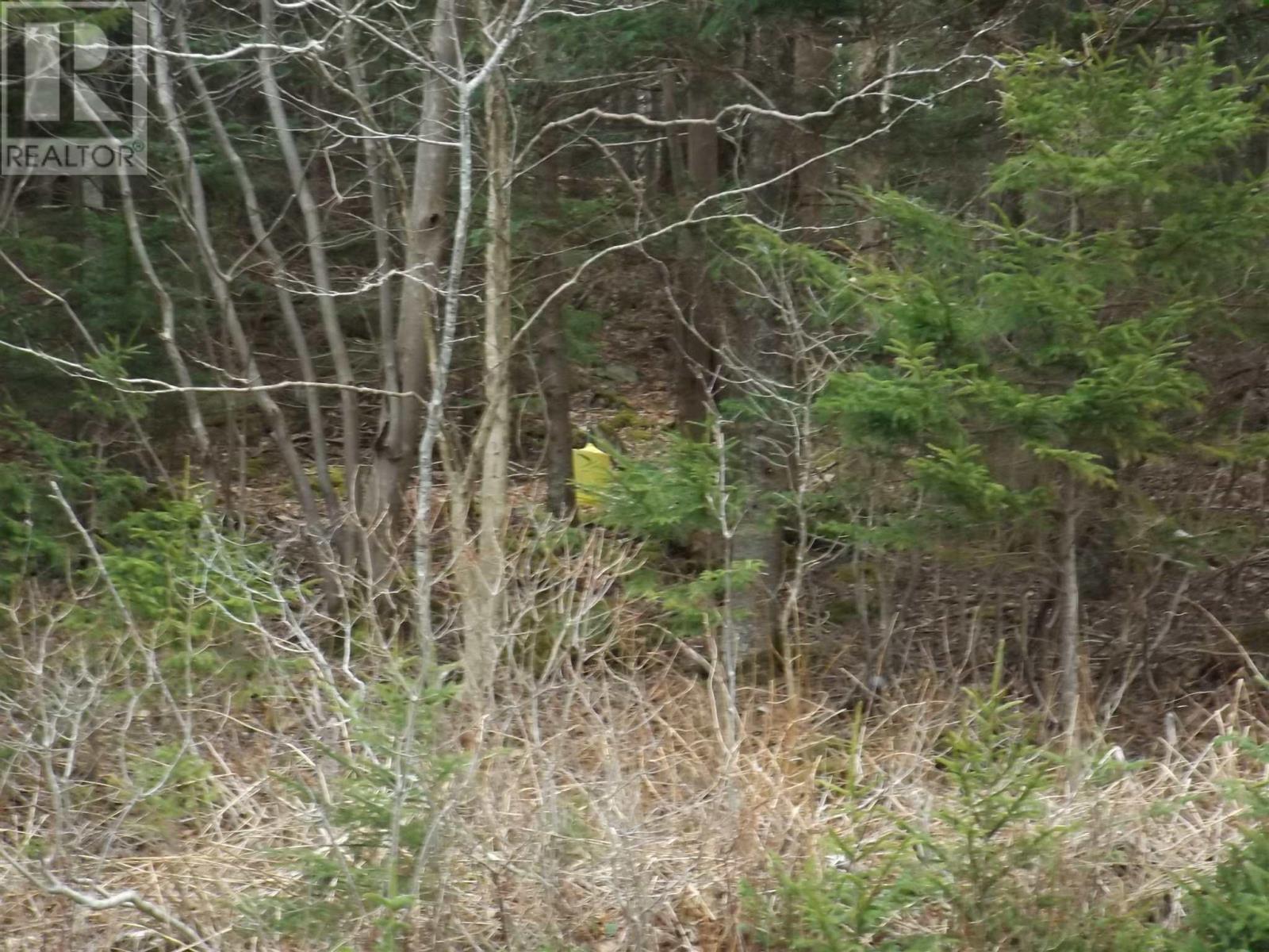 Property 2 of 3 of Roberts Island Road