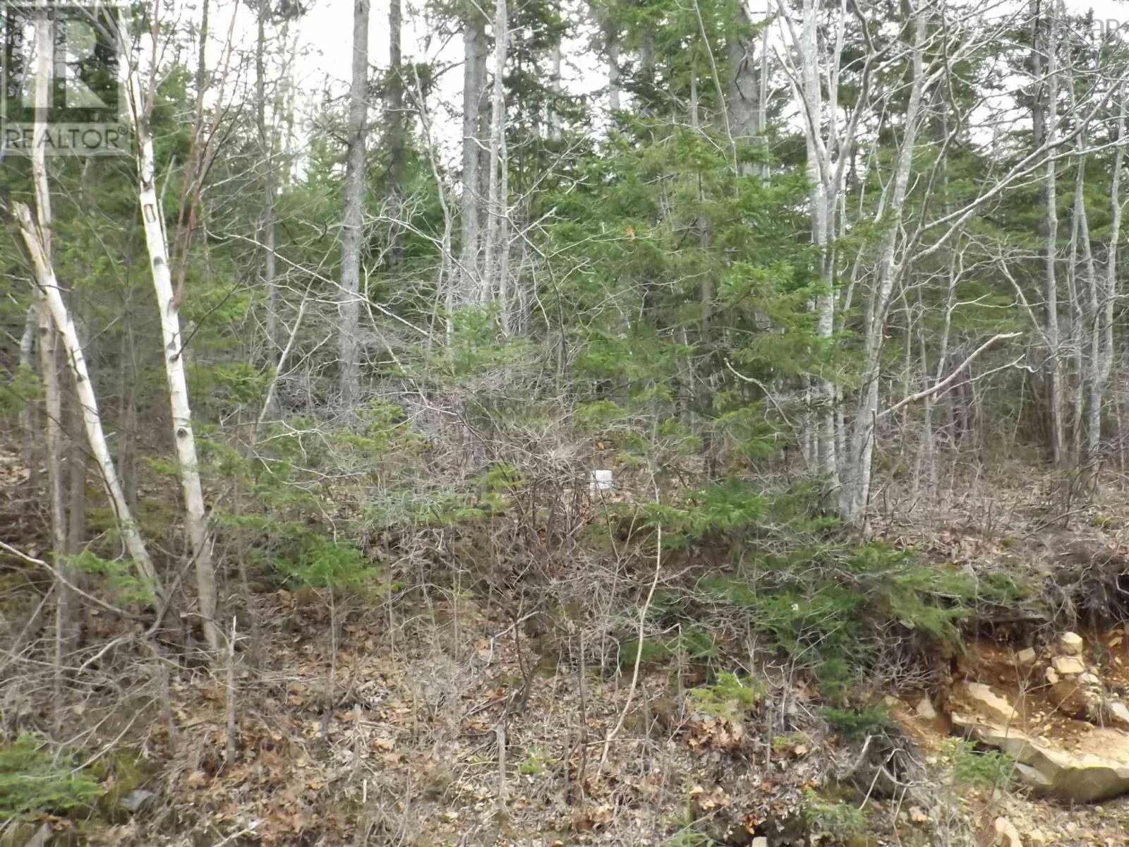 Property 4 of 7 of Roberts Island Road