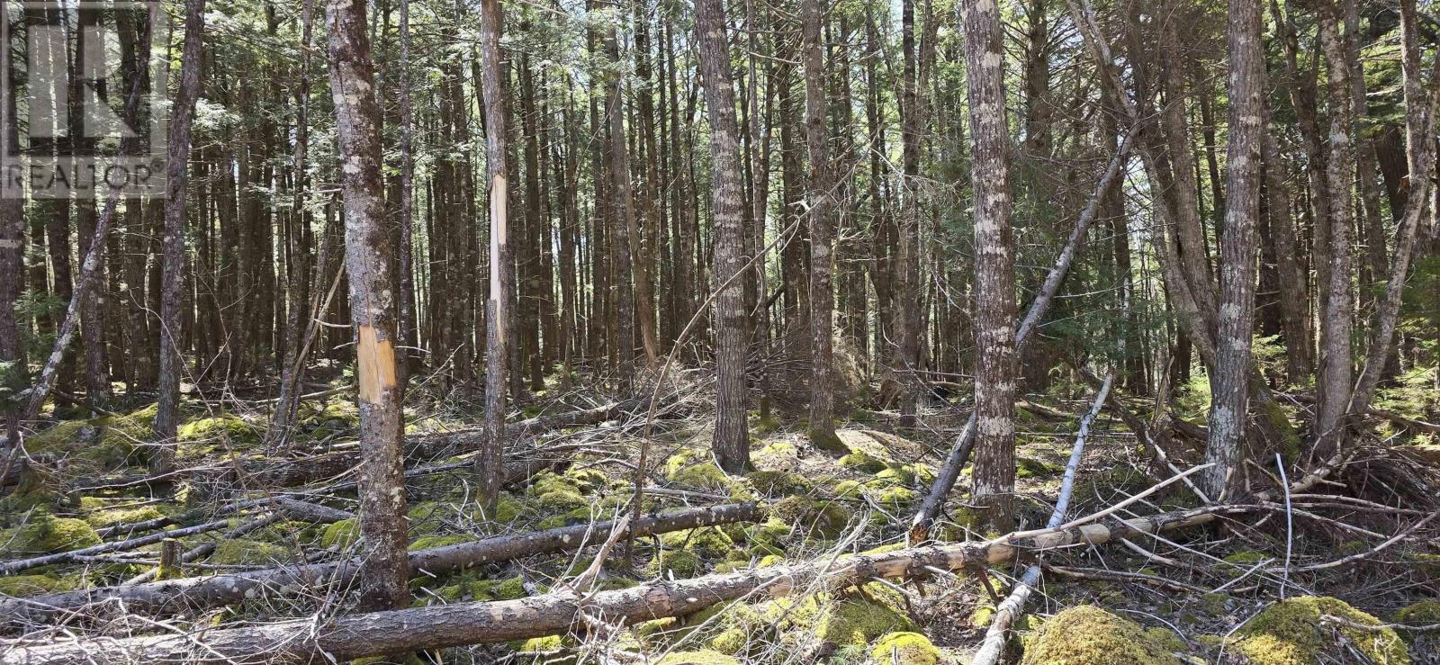 Property 15 of 23 of Lot 3 Beaver Row