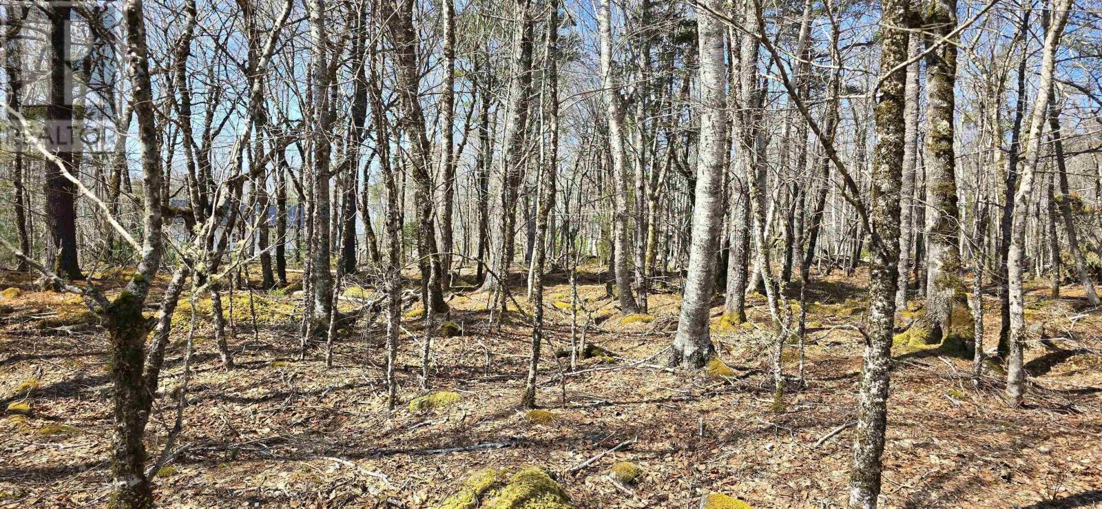 Property 12 of 26 of 69 Sparkling Spring Lane