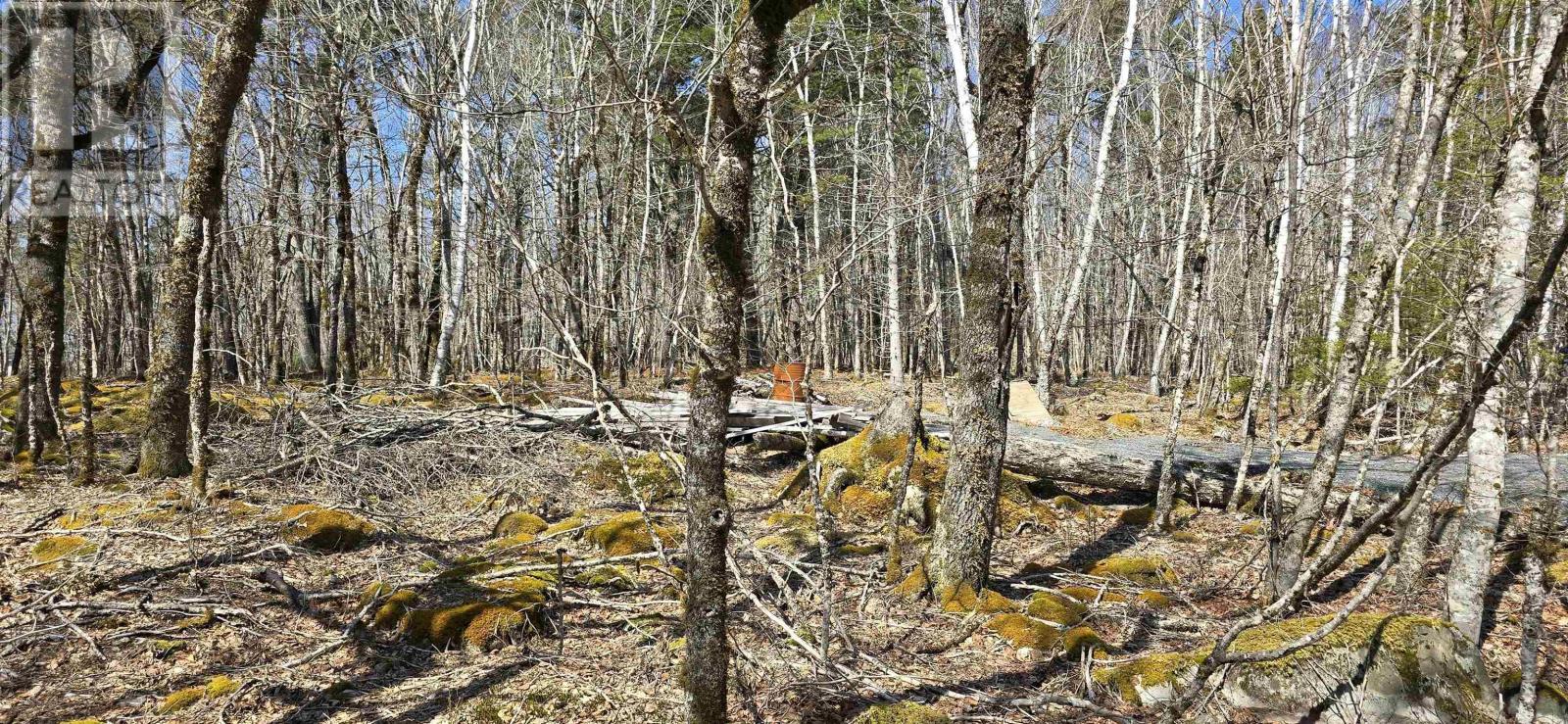 Property 5 of 26 of 69 Sparkling Spring Lane