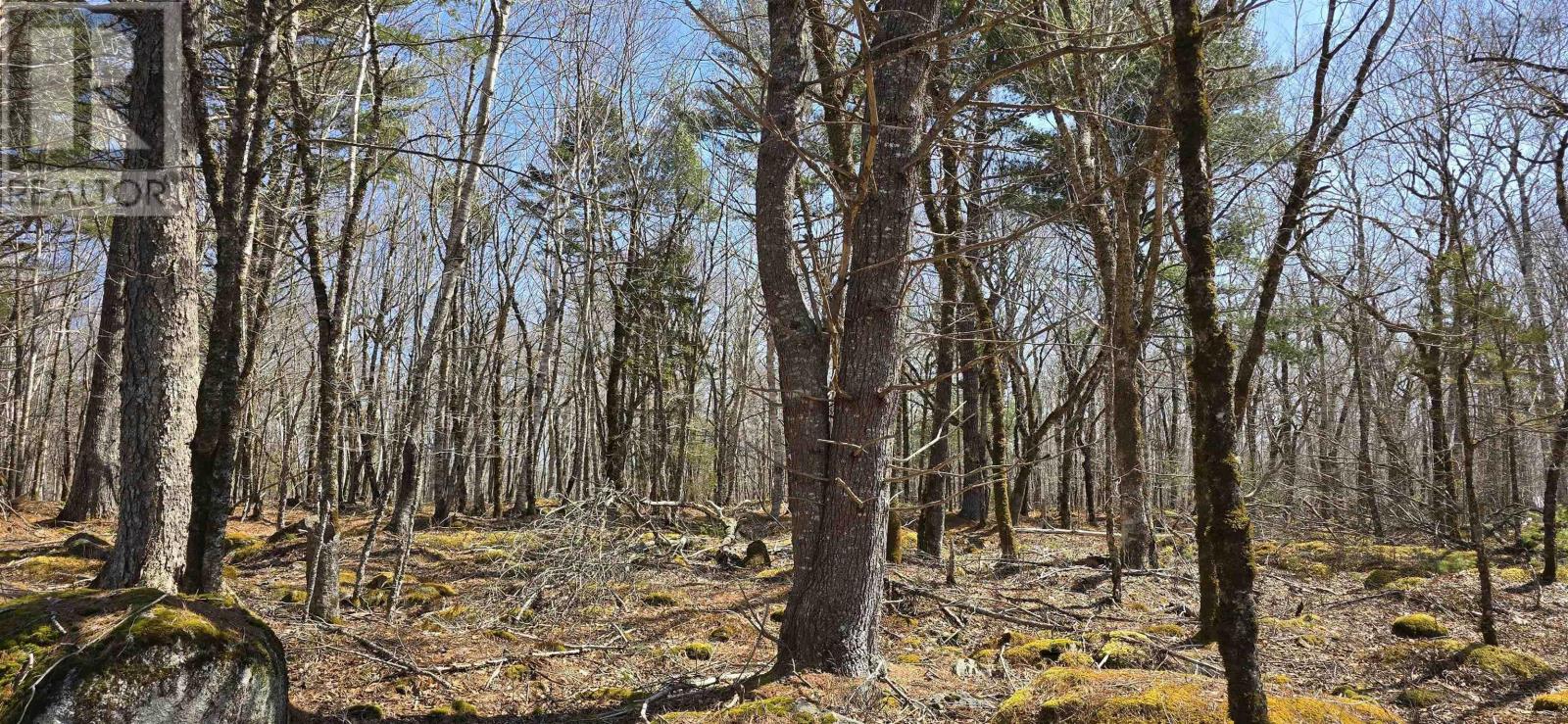 Property 18 of 26 of 69 Sparkling Spring Lane