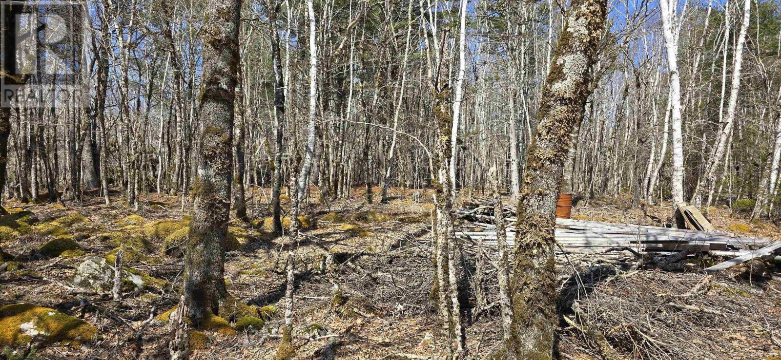 Property 6 of 26 of 69 Sparkling Spring Lane