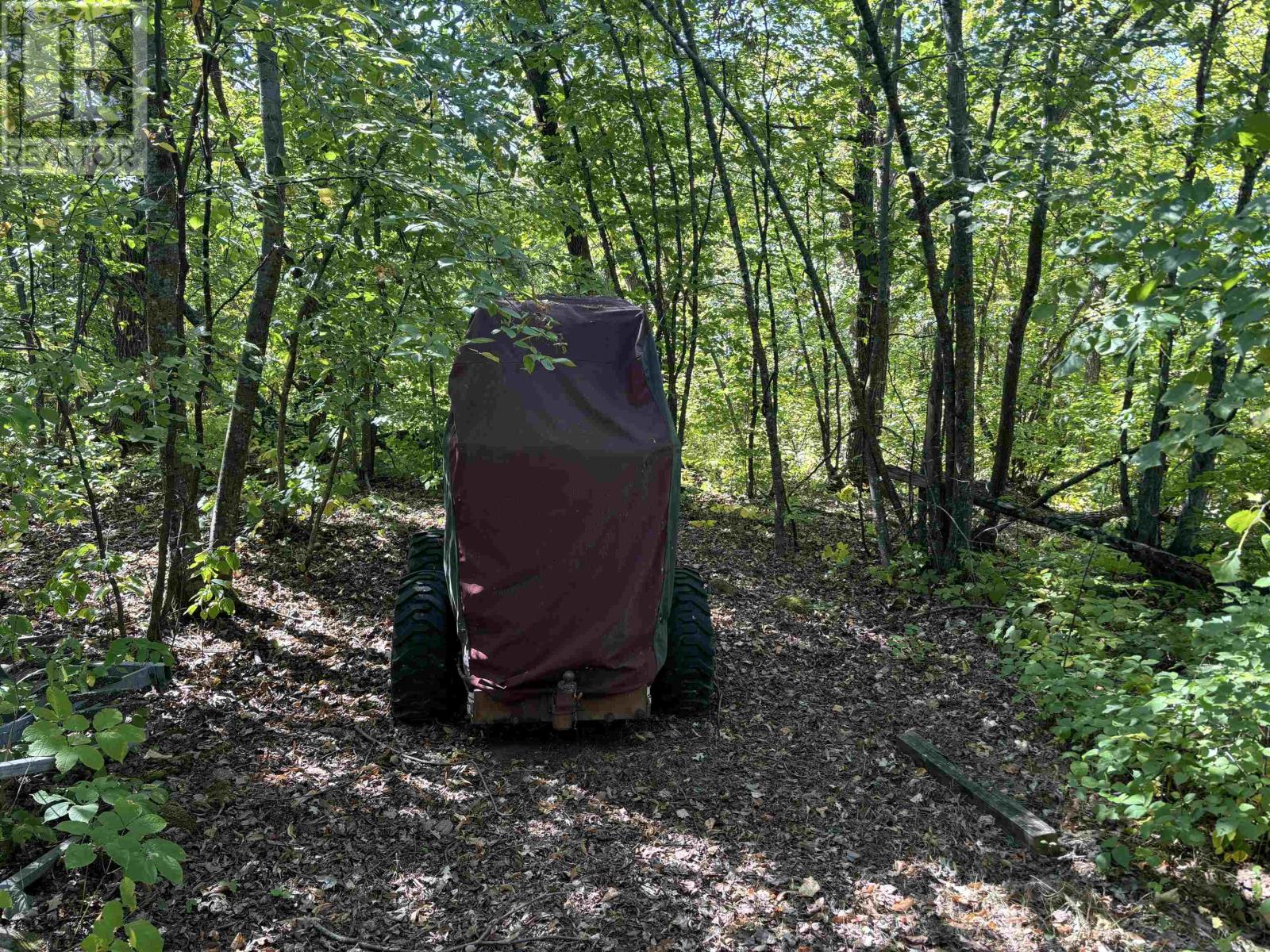 PTS 1,5,6 DORION ISLAND LAKE OF THE WOODS - 24