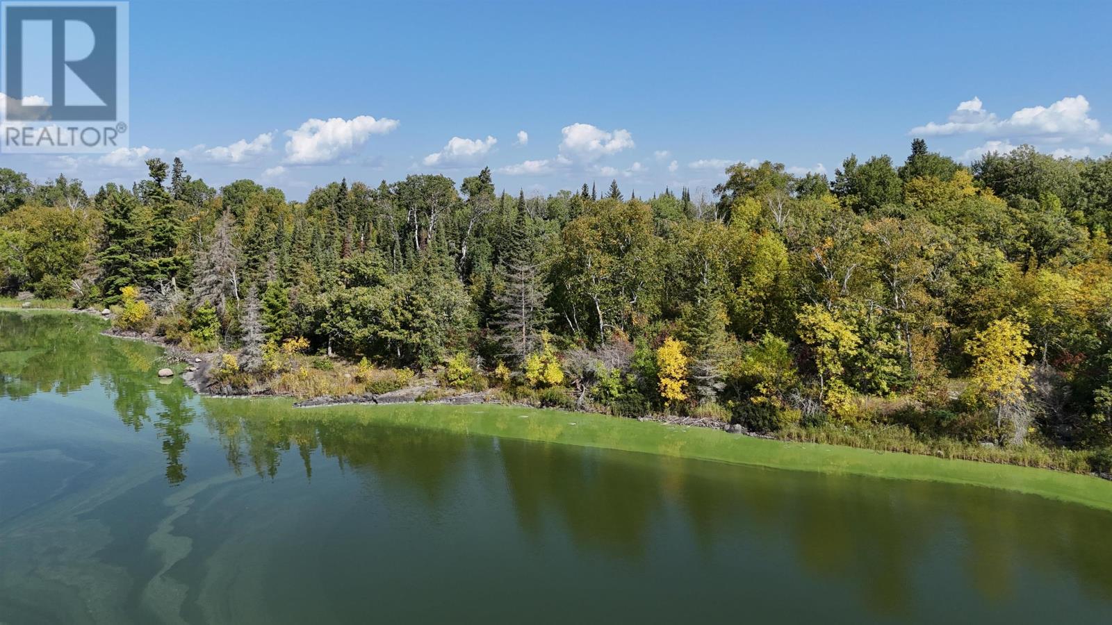 PTS 1,5,6 DORION ISLAND LAKE OF THE WOODS - 31