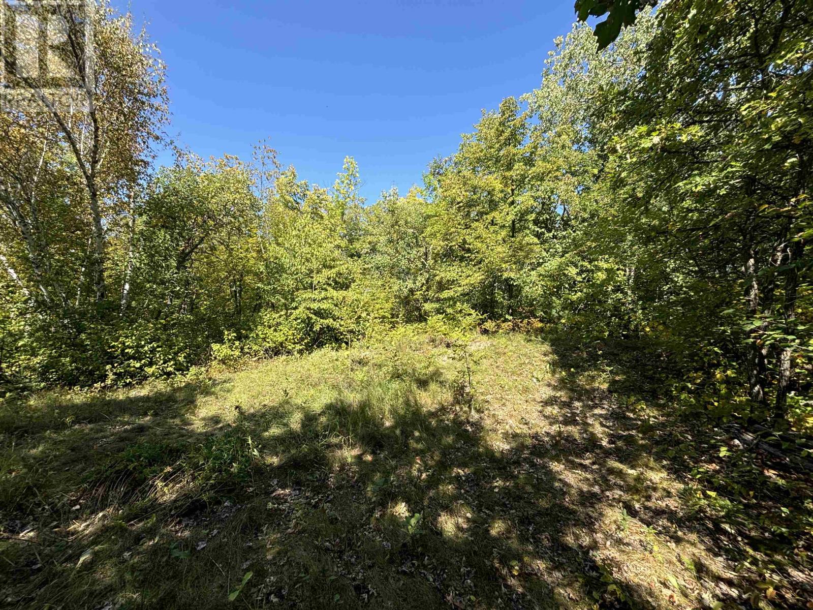 PTS 1,5,6 DORION ISLAND LAKE OF THE WOODS - 35
