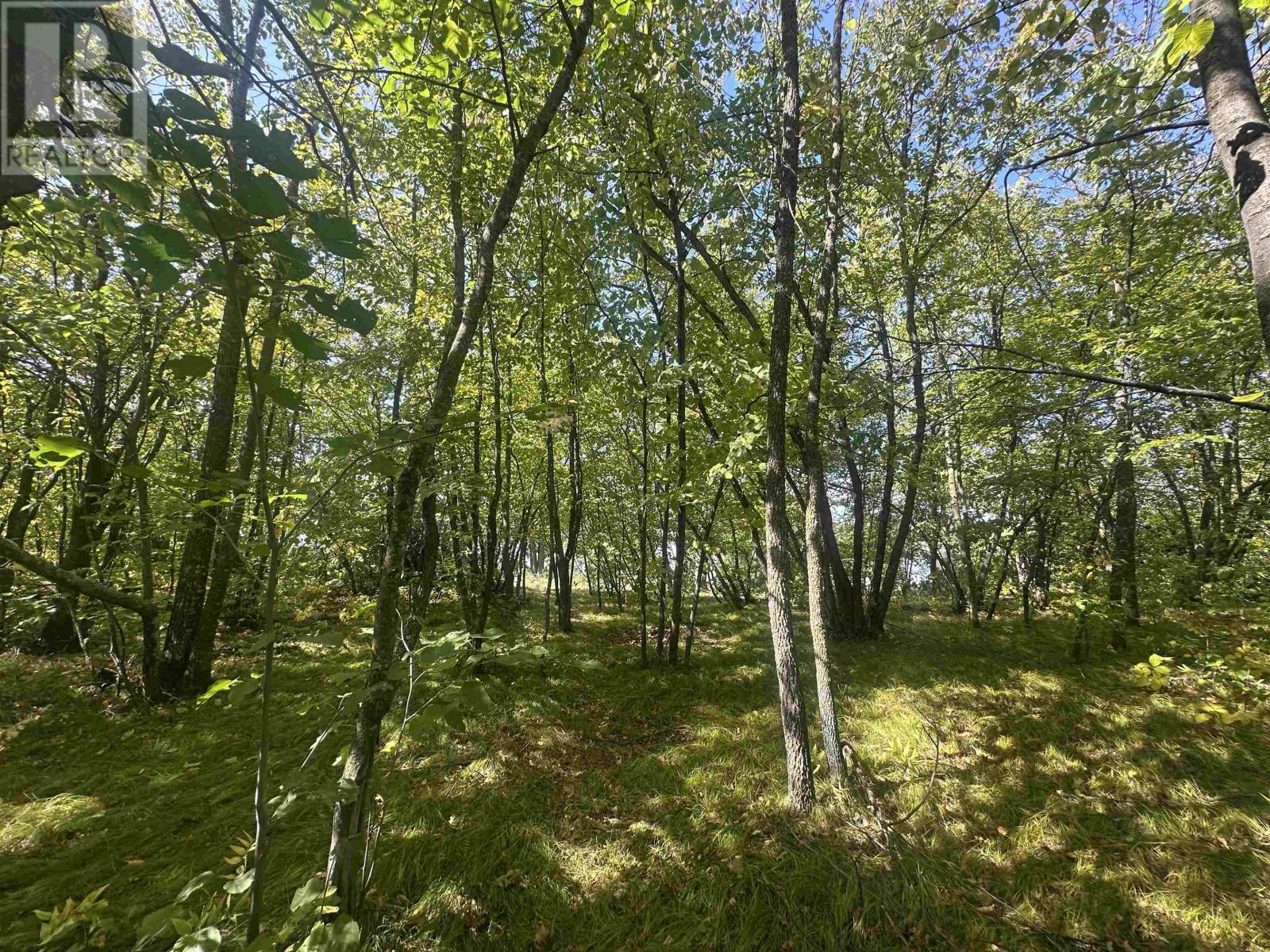 PTS 1,5,6 DORION ISLAND LAKE OF THE WOODS - 30
