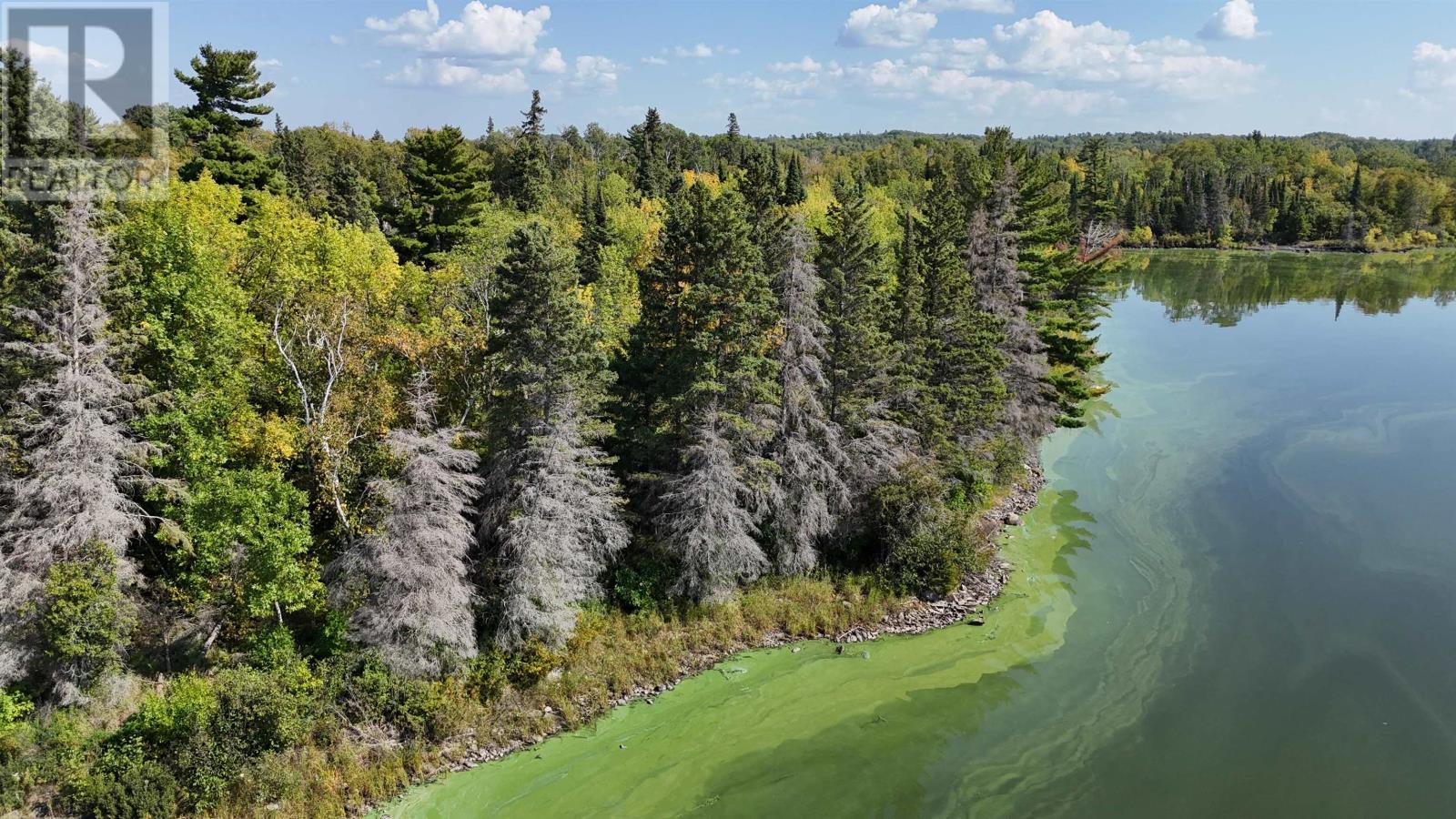PTS 2,7,8 DORION ISLAND LAKE OF THE WOODS