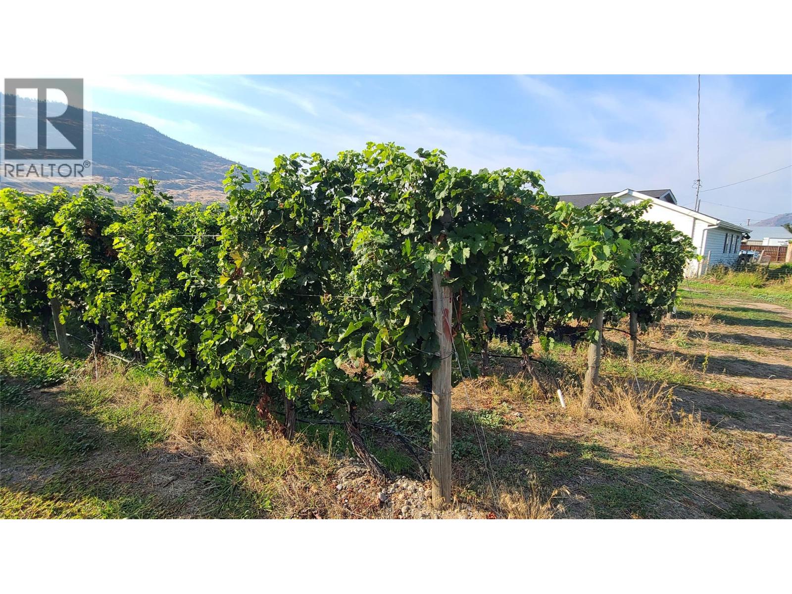 4028 107TH Street, Osoyoos