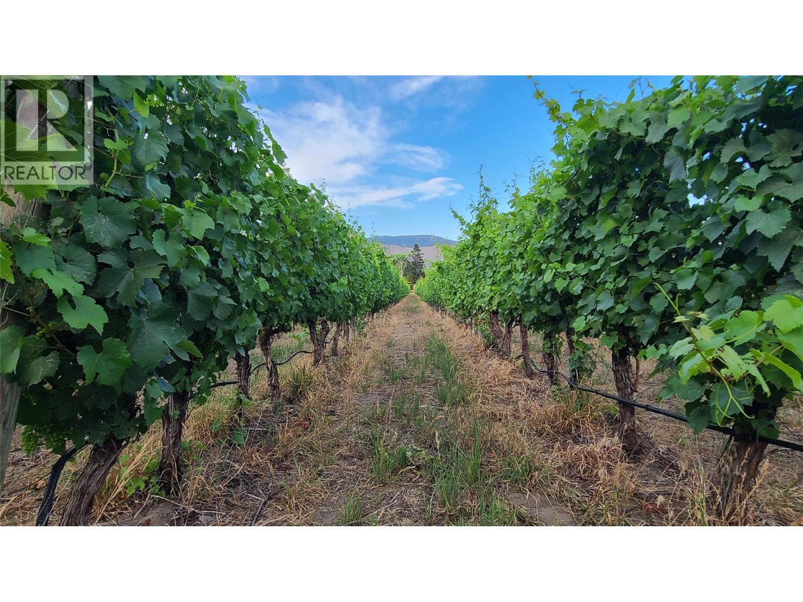 4028 107TH Street, Osoyoos