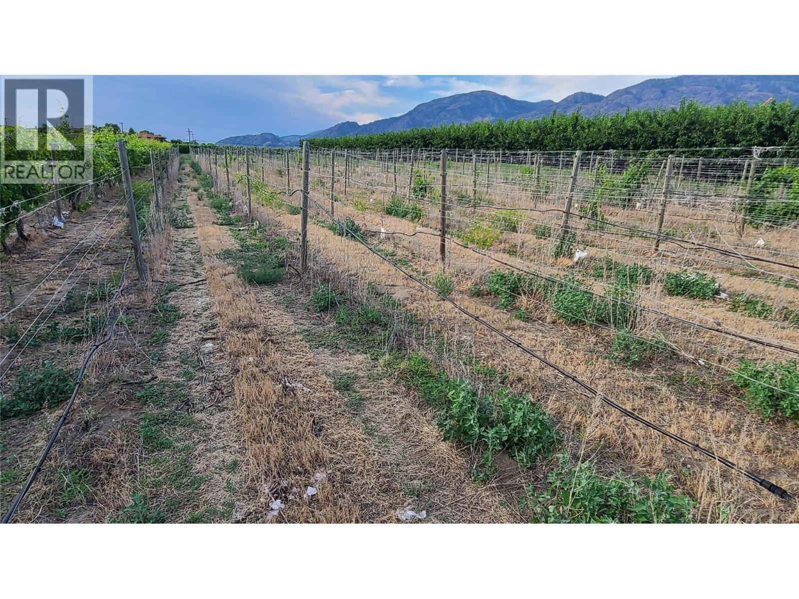 4028 107TH Street, Osoyoos