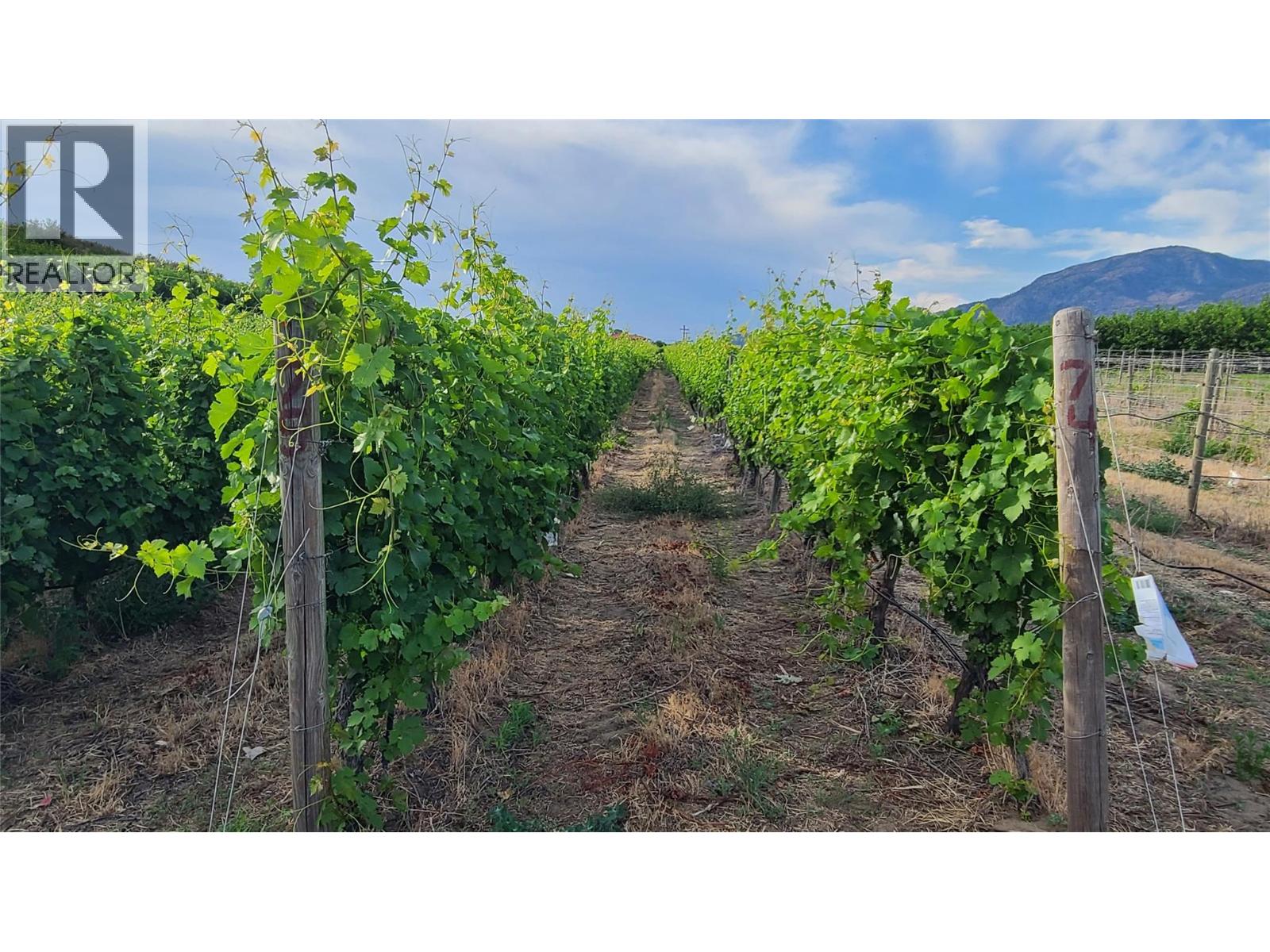 4028 107TH Street, Osoyoos