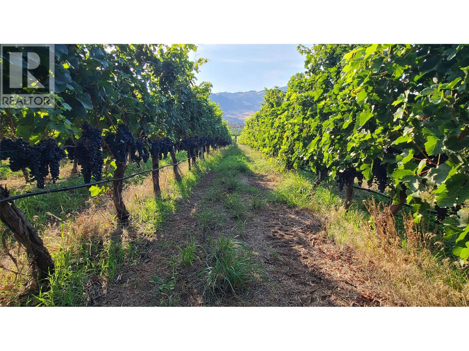 4028 107TH Street, Osoyoos