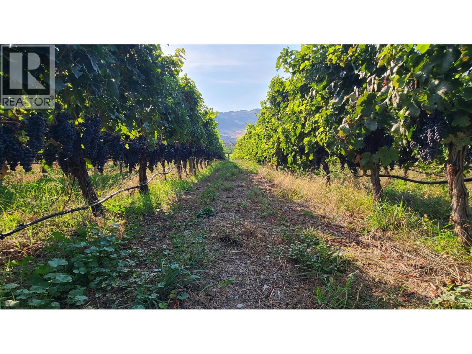 4028 107TH Street, Osoyoos