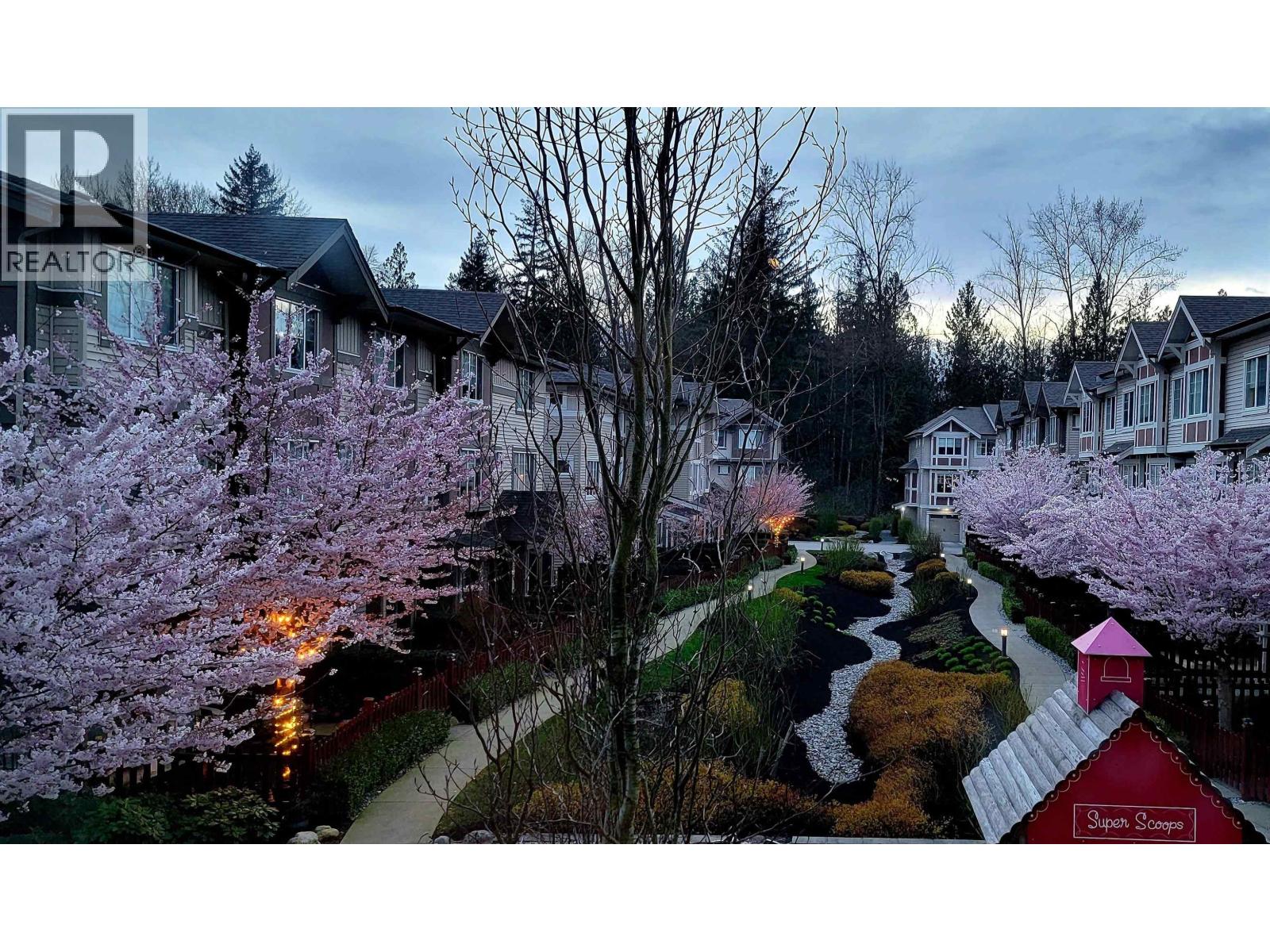 13 10151 240 STREET, Maple Ridge