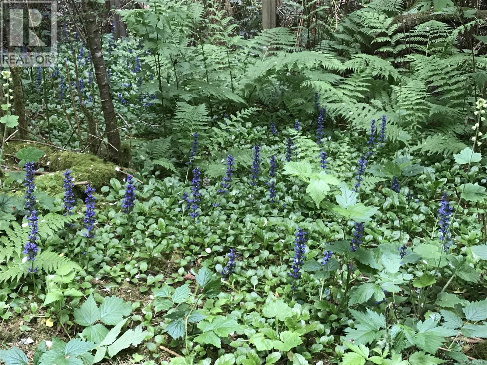  2601 Seaside Drive, Sooke