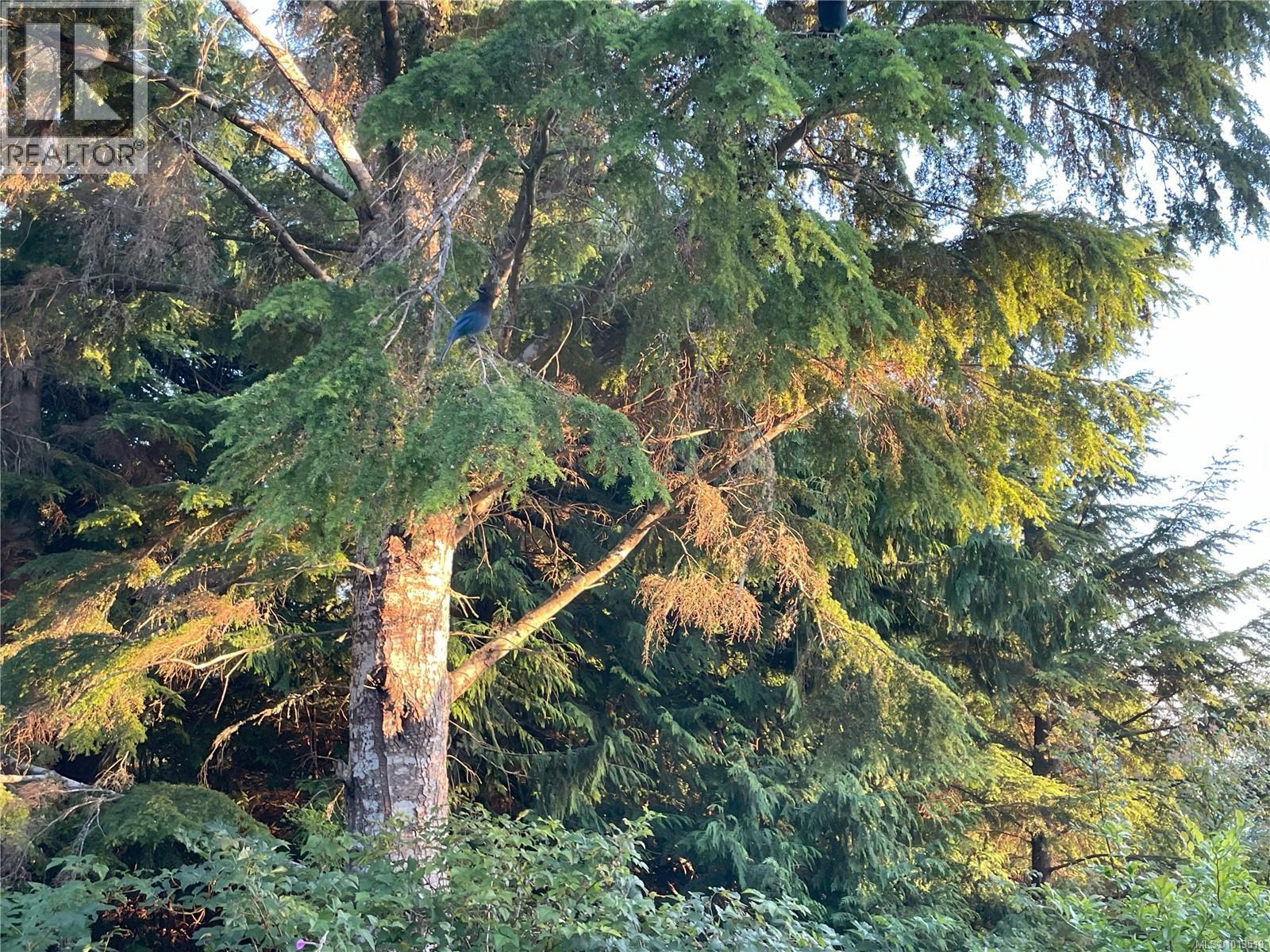  2601 Seaside Drive, Sooke