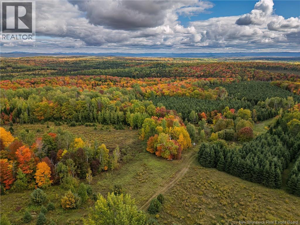 283 Currie Road - Photo 4 of 26, Tilley, New Brunswick