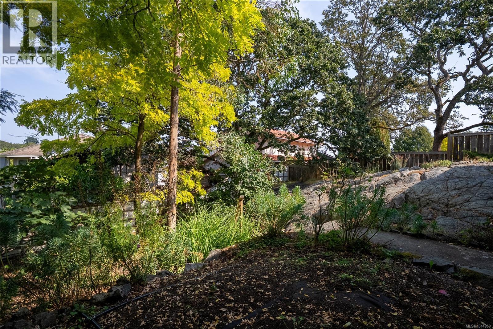 1556 Arrow Rd, Saanich