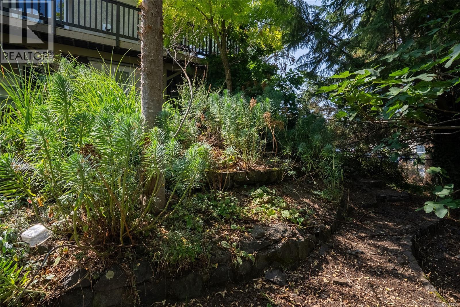 1556 Arrow Rd, Saanich